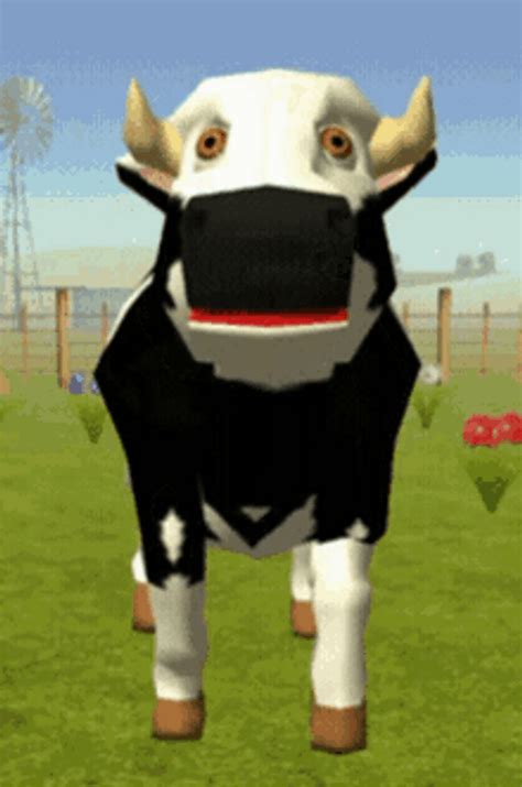 cow gif animation